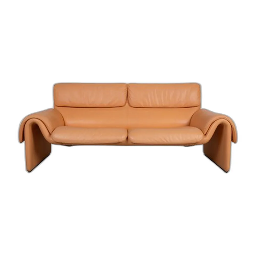 DS-2011 Zwei-Sitzer Sofa aus Leder von de Sede